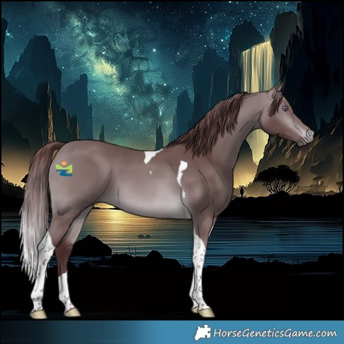 Horse Color:Chocolate Brown Chinchilla Tobiano 