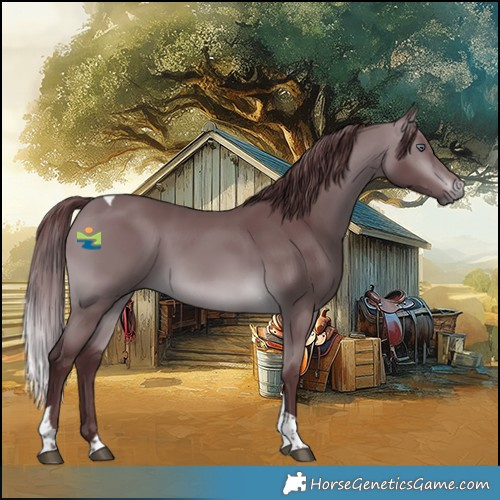Horse Color:Chocolate Brown Chinchilla Tobiano 
