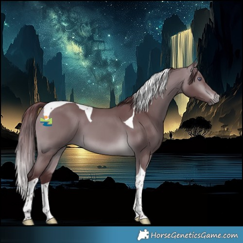 Horse Color:Chocolate Brown Chinchilla Tobiano 