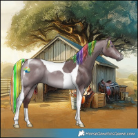 Horse Color:Painted Chocolate Silver Brown Chinchilla Tobiano