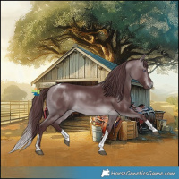 Horse Color:Chocolate Brown Chinchilla Tobiano 