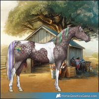 Horse Color:Painted Chocolate Silver Black Chinchilla Tobiano 