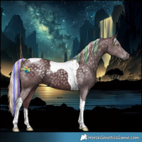 Horse Color:Painted Chocolate Silver Black Chinchilla Tobiano 