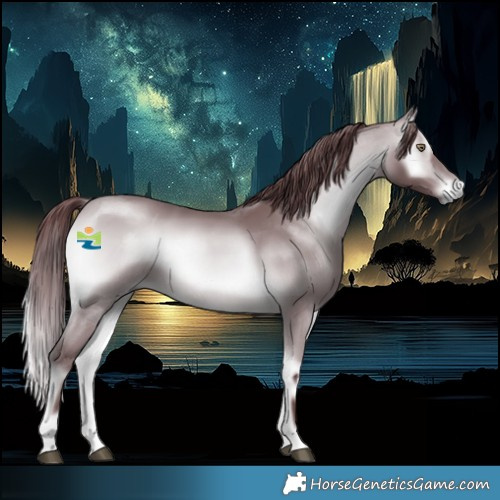 Horse Color:Chocolate Bay Chinchilla Onyx 