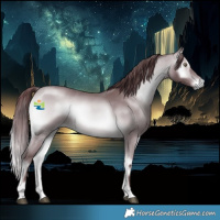 Horse Color:Chocolate Bay Chinchilla Onyx
