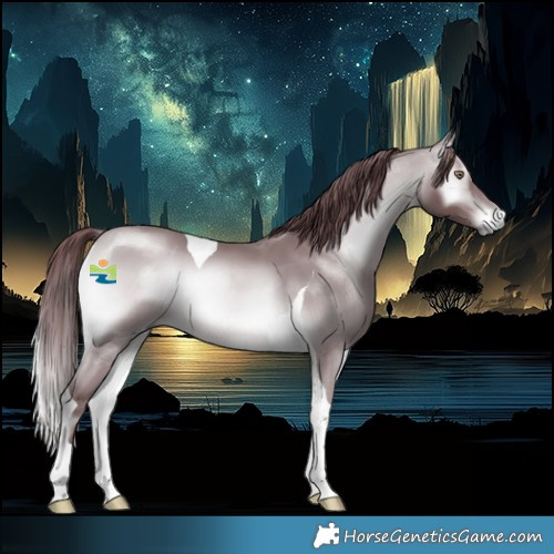 Horse Color:Chocolate Bay Chinchilla Onyx Tobiano 