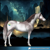 Horse Color:Chocolate Bay Chinchilla Onyx Tobiano 