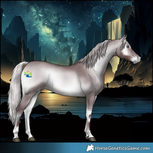 Horse Color:Chocolate Silver Brown Chinchilla Onyx 