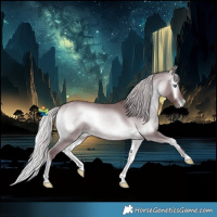 Horse Color:Chocolate Silver Brown Chinchilla Onyx