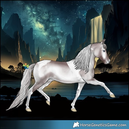 Horse Color:Chocolate Silver Brown Chinchilla Onyx Tobiano 