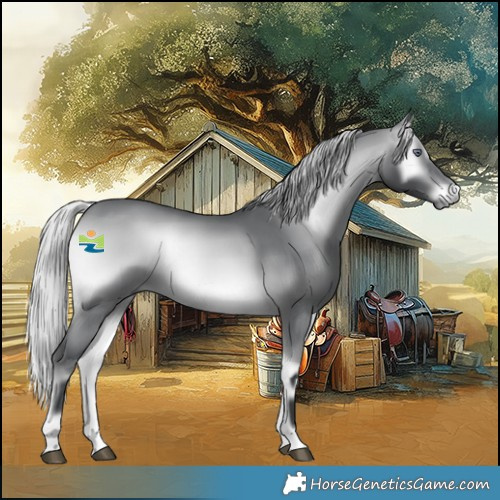 Horse Color:Silver Brown Chinchilla Onyx 