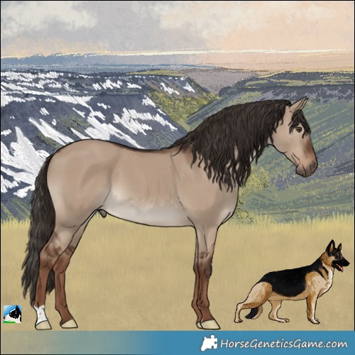 Horse Color:Liver Red Dun 