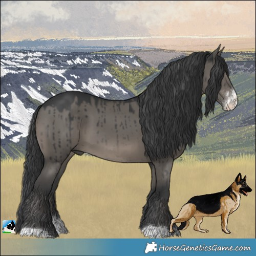 Horse Color:Grullo Sabino Brindle