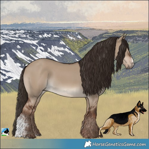 Horse Color:Liver Red Dun Sabino 