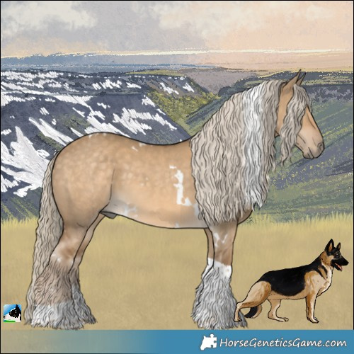 Horse Color:White Spotted Chocolate Palomino Dun Tobiano