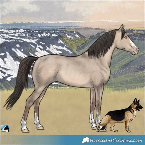 Horse Color:Sable Champagne Dun Rabicano 