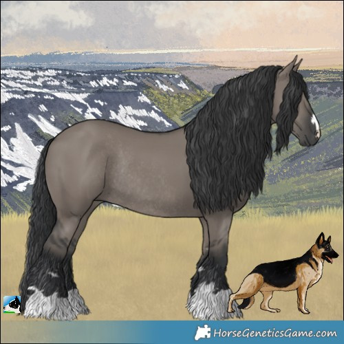 Horse Color:Grullo Rabicano 