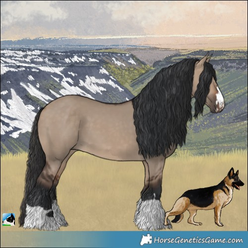 Horse Color:Brown Dun 
