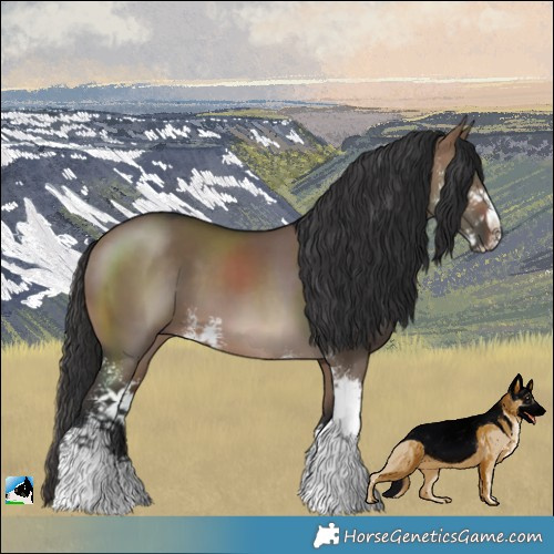 Horse Color:Brown Dun Sabino 