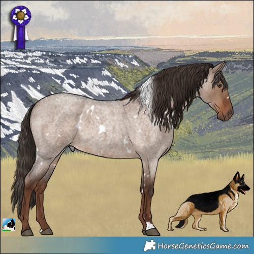 Horse Color:White Spotted Liver Red Dun Roan 