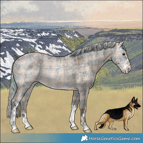 Horse Color:Plaid Silver Brown Ice Dun Sabino Rabicano