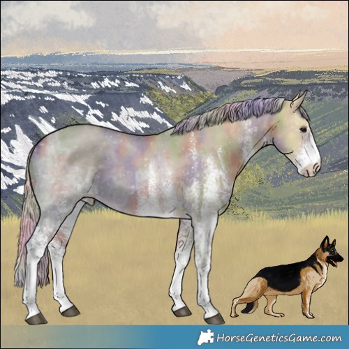 Horse Color:Nacre White Spotted Silver Bay Ice Dun 