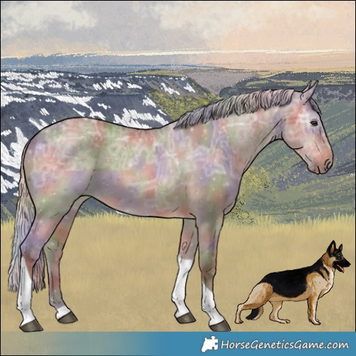 Horse Color:Nacre Silver Brown Ice Dun Tobiano 