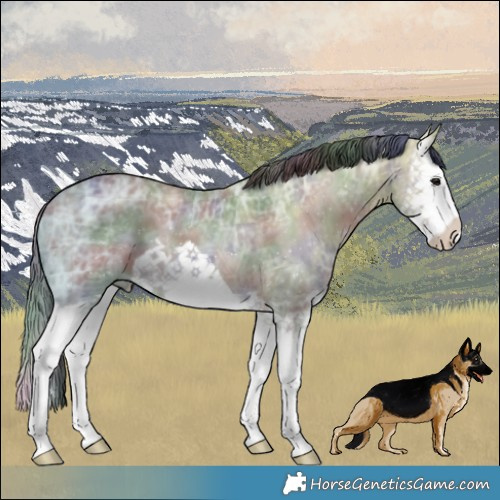 Horse Color:Nacre Brown Ice Dun Splash 