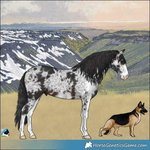 Horse Color:Brown Ice Mushroom Sabino 
