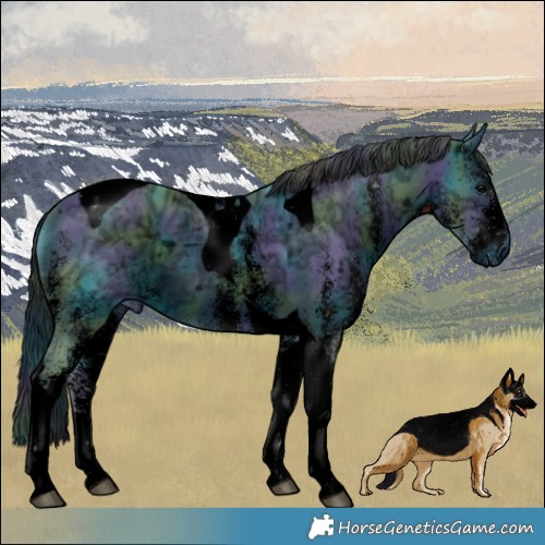 Horse Color:ERROR: UNKNOWN ANOMALY