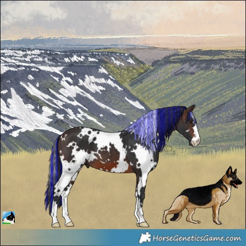 Horse Color:Painted White Spotted Brown Mushroom 
