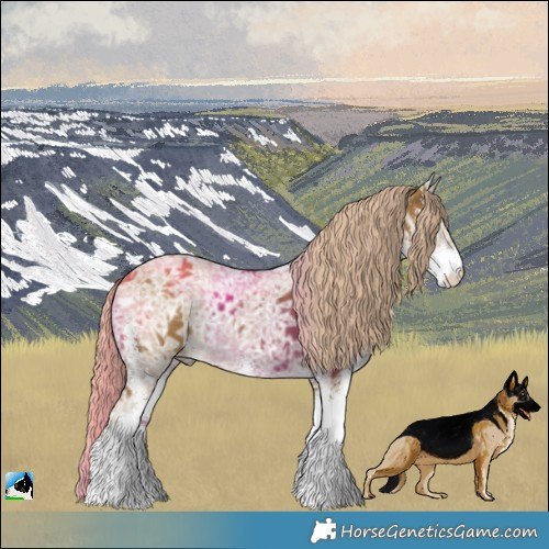 Horse Color:Chocolate Palomino Ice Dun Sabino 