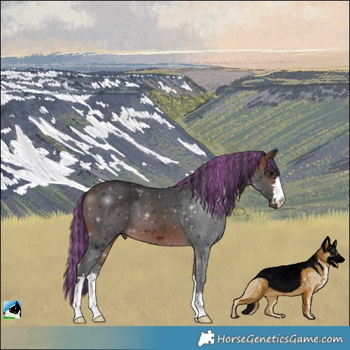 Horse Color:Painted Brown 