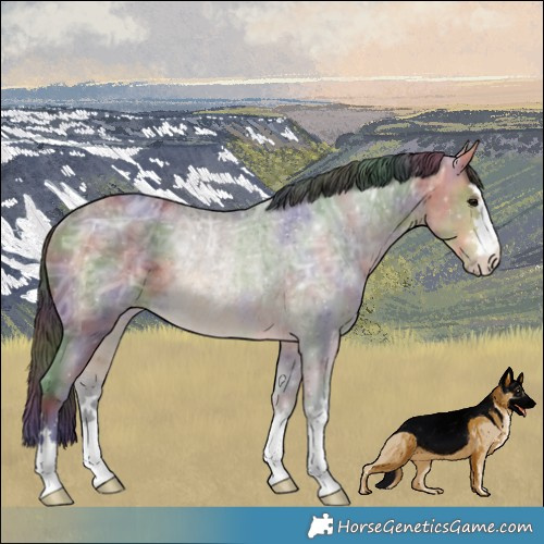 Horse Color:Nacre Buckskin Ice Rabicano