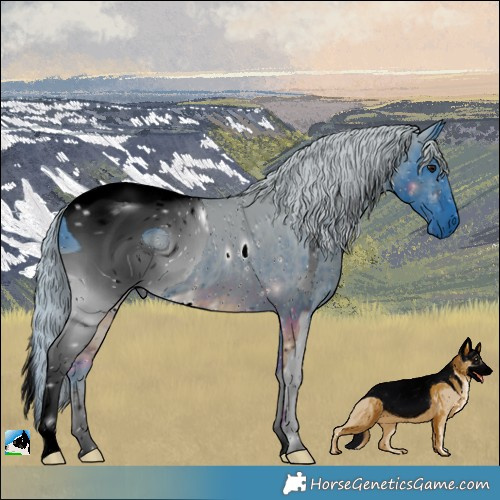 Horse Color:ERROR: UNKNOWN ANOMALY