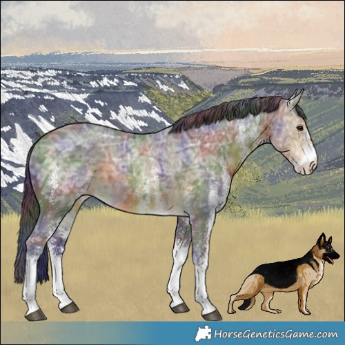 Horse Color:Nacre White Spotted Buckskin Ice Mushroom 