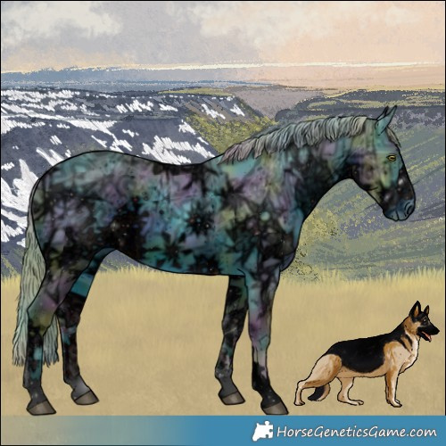 Horse Color:ERROR: UNKNOWN ANOMALY