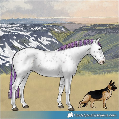 Horse Color:Painted Nacre White Spotted Silver Brown Ice Sabino 