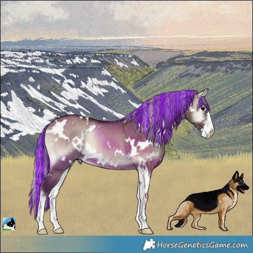 Horse Color:Painted White Spotted Silver Grullo Onyx Mushroom Sabino Rabicano 