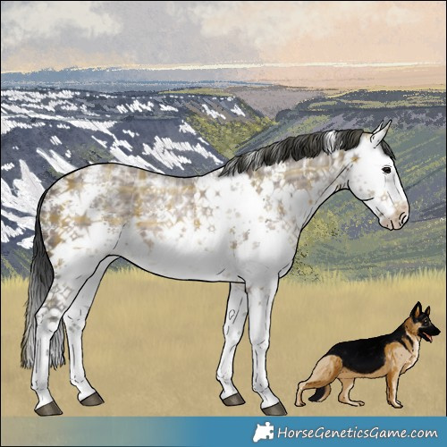 Horse Color:Plaid  White Spotted Brown Ice Dun Sabino 