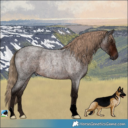 Horse Color:Liver Red Ice Roan Rabicano 