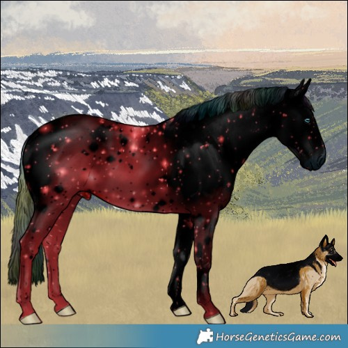 Horse Color:ERROR: UNKNOWN ANOMALY