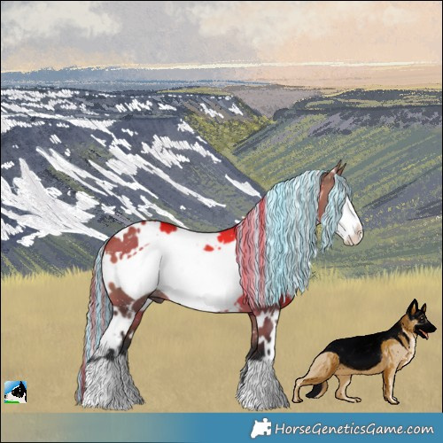 Horse Color:Painted White Spotted Brown Dun Frame 