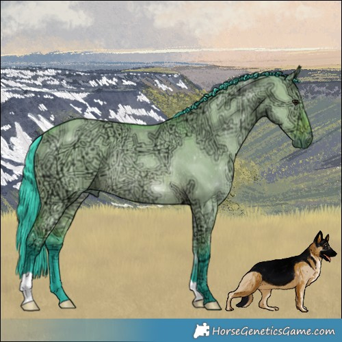 Horse Color:Watercolor Bay Ice Dun Rabicano 