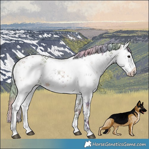 Horse Color:Nacre White Spotted Silver Brown Ice Dun Sabino 