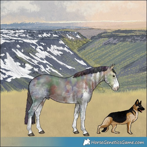 Horse Color:Nacre White Spotted Brown Ice 