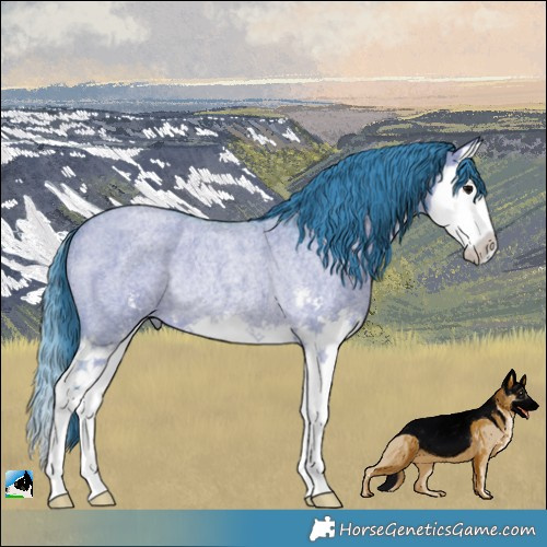 Horse Color:Watercolor Grullo Roan Sabino Splash Rabicano 
