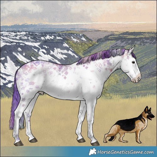 Horse Color:Nacre Watercolor White Spotted Bay Ice Dun Sabino 
