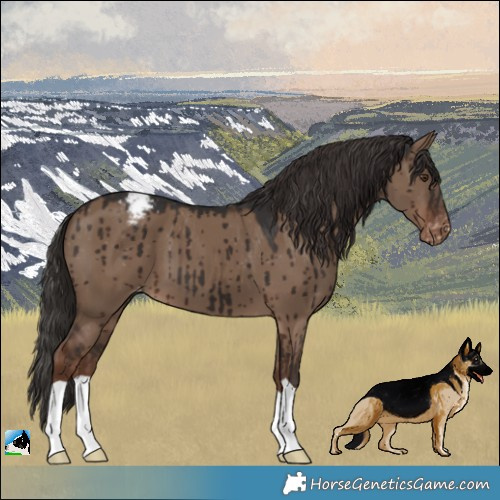 Horse Color:Liver Red Dun Varnish Brindle