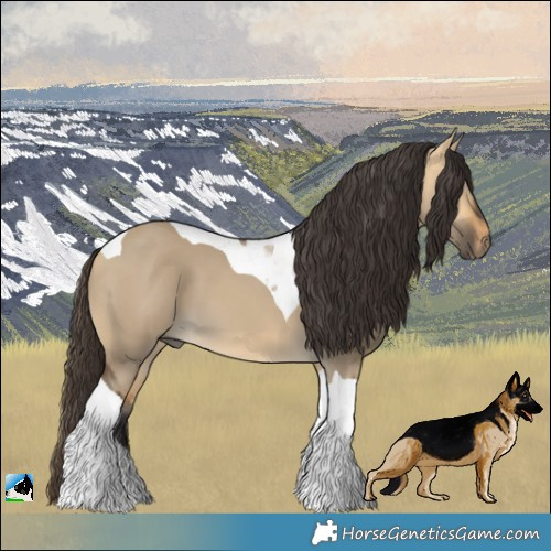 Horse Color:Buckskin Dun Tobiano 